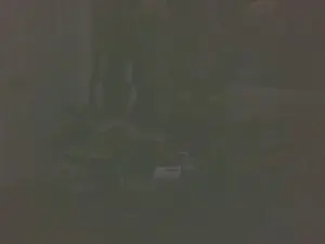 Cam4 Free Live Porn of boost2469