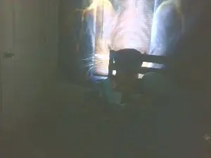 Cam4 Live Sex Cam of boost2469