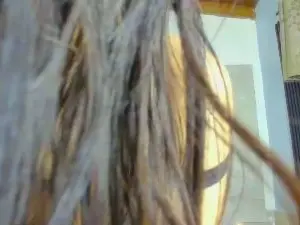 Cam4 Adult Video Chat of Michell_taylor