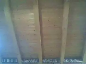 Cam4 Sex Cam of shaggyvery