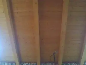 Cam4 Free Porn Cam of shaggyvery