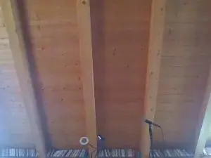 Cam4 Free Live Porn of shaggyvery