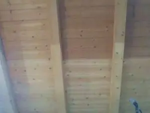 Cam4 Live Porn of shaggyvery