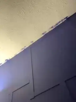 Cam4 Live Sex Cam of Zayzay