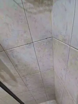 Cam4 Watch Live Sex Cams of Feldm