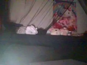 Cam4 Private Sex Chat of ForeignLifePOSH