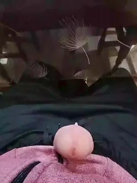 Cam4 Live Sex Cam of valentn18