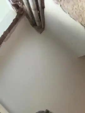 Cam4 Best Webcam of Floppy699