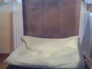 Cam4 Live Sex Cam of petra105