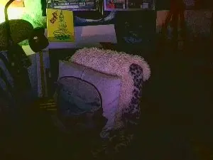 Cam4 Sex Chat of blindsurfer