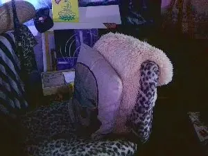 Cam4 Live Sex of blindsurfer