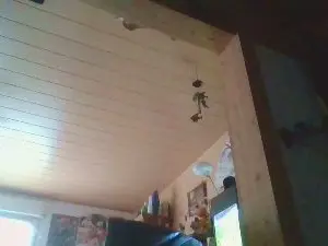 Cam4 Live Porn of blindsurfer