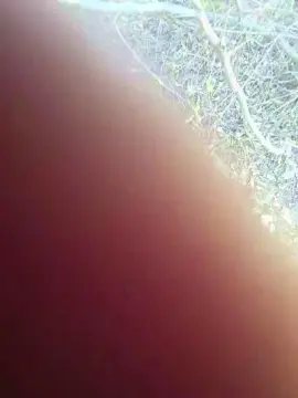 Cam4 Live Sex Cam of silabibe
