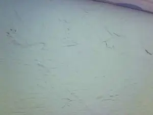 Cam4 Sex Chat of FSB1962