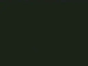 Cam4 Live Sex of FSB1962