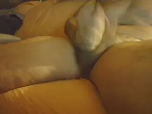Cam4 Live Sex of rellenito41bcn