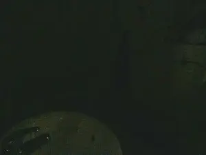 Cam4 Live Porn of Matt_madhorny