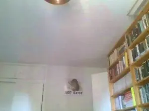 Cam4 Live Porn of wattknott