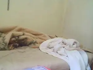 Cam4 Watch Live Sex Cams of raul4396624