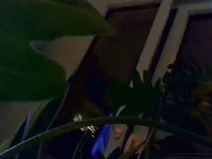 Cam4 Sex Chat of Dickinson99