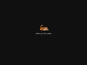 Cam4 Adult Webcam of rajesh_gigol