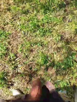 Cam4 Live Porn of Andresmistress