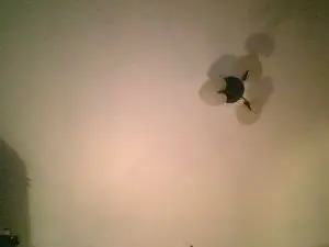 Cam4 Live Sex of Ximenahotonly