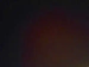 Cam4 Adult Video Chat of elpalpitante