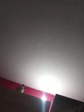 Cam4 Live Sex of marti303