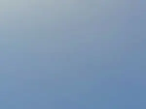 Cam4 Live Sex of micelnicexxl