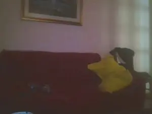 Cam4 Adult Webcams of DmtrijD