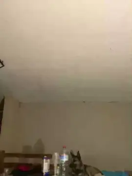 Cam4 Sex Cam of ferreralbertca1