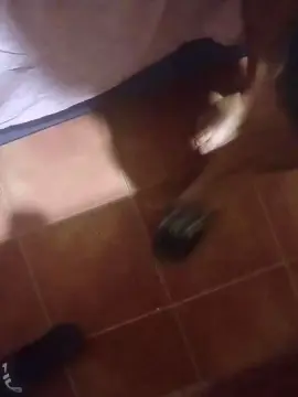 Cam4 Live Sex Cam of Falisan
