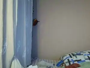 Cam4 Best live sex cam show of GringoDelicius