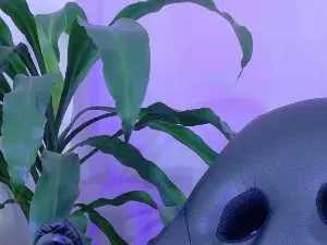 Cam4 Live Sex of aliisonn_cooper