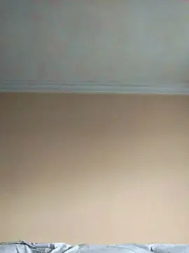 Cam4 Private Sex Chat of tonytuga