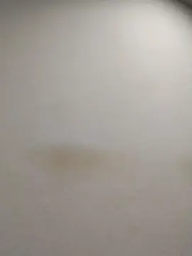 Cam4 Live Sex of tonytuga