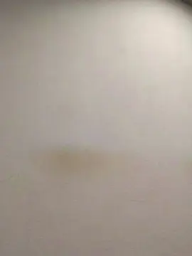 Cam4 Watch Live Sex Cams of tonytuga