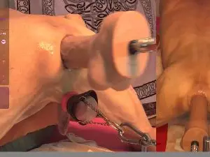 Cam4 Best live sex cam show of fftoyhole