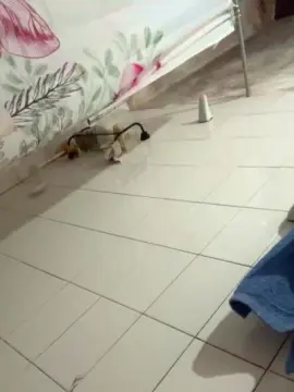 Cam4 Sex Cam of ponche12