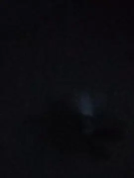 Cam4 Live Sex of Bimboselvaggio
