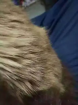 Cam4 Sex Cam of ivanb20