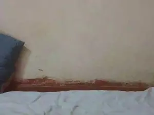 Cam4 Sex Chat of Pampamsexy