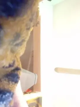 Cam4 Adult Webcam of fantasysex84