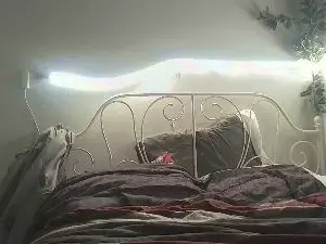 Cam4 Best Webcam of Inittowinit780