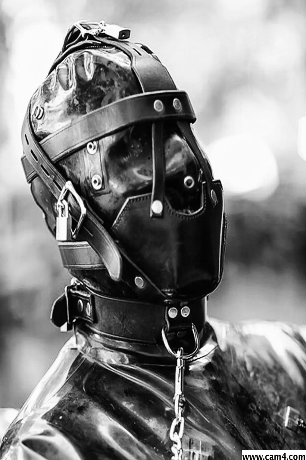 kinkbikerlad