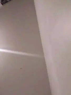 Cam4 Free Porn Cam of Francisconeto87