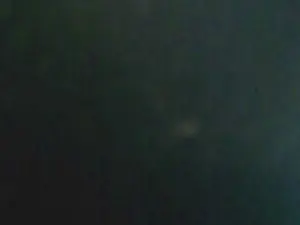 Cam4 Live Porn of LauPet_Nacho