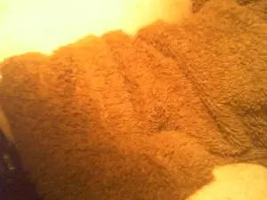 Cam4 Free Live Porn of allblond1