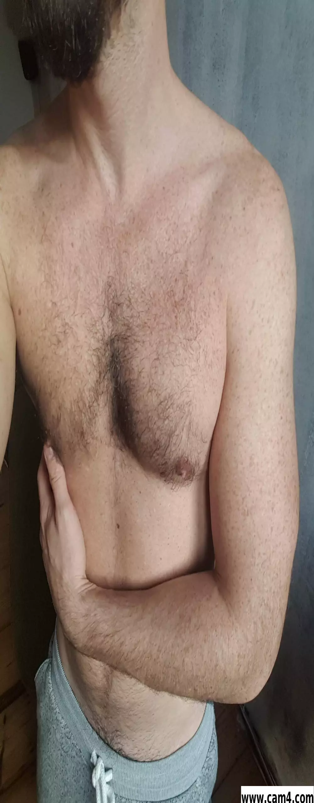 gonauta1